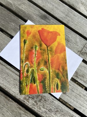 Kunstkort Valmuer i aftensol D304
