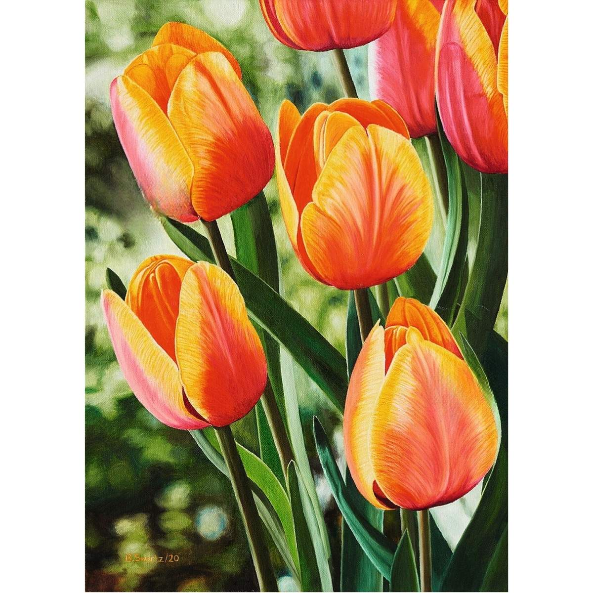 Blomster plakat med orangerøde tulipaner, malet af sydafrikanske mundmalende kunstner Brenton Nicholas Swartz fra Sydafrika